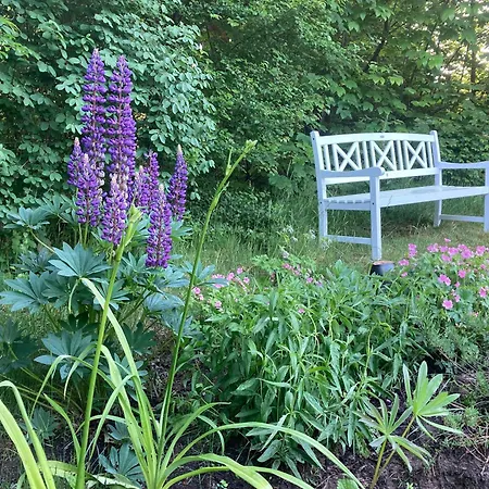 With Peace Nature And Great Moments Holiday home