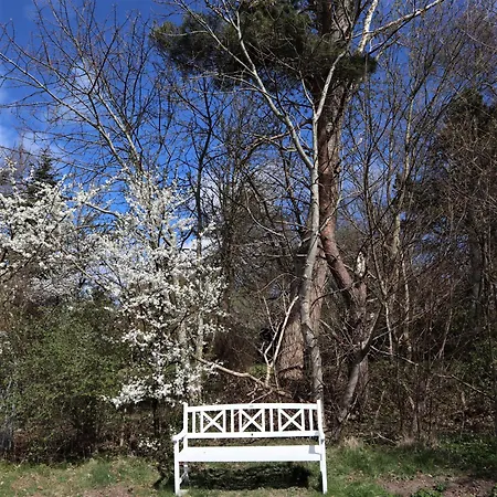 With Peace Nature And Great Moments Feriehus Jægerspris